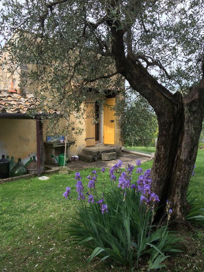 Settignano Tuscany Homes Екстер'єр фото